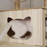 Sıcak Fırsat Lüks Modern Ahşap Kedi Ağacı Evi, Tırmalama Platformu ve Tırmanma Çerçevesi ile 1 Katlı Cadılar Bayramı İç Mekan Kullanımı İçin Karton Paketli