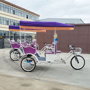 Offre Spéciale un tricycle électrique à trois roues meilleur prix tricycle électrique - Product Image 4
