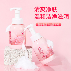 Upgraded Amino Acid Moisturizing Cleansing Mousse Deep Cleansing Non Irritating Oil Controlling Facial Cleanser For Women - Product Image 3