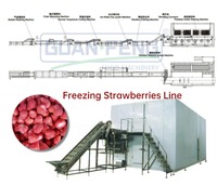 Iqf Ontploffingstunnel Vriezer Automatische Bevroren Verwerkingslijn Groentefruit Zeevruchten Vleesvriezer 2000 Kg/u Prijs Instock