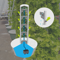Système de culture hydroponique vertical pour ananas avec éclairage LED, structure en ABS, arrosage automatique complet pour usage agricole