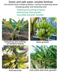 <span class=keywords><strong>Engrais</strong></span> Liquide Organique à Libération Rapide pour Favoriser la Floraison et la Fruitation, Pureté 100%, Stimulateur de Croissance des Plantes - Product Image 4