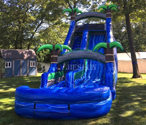 24ft Single Lane Trượt Nước Nhiệt Đới Với Hồ Bơi - Product Image 3