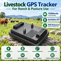 Dispositif de suivi GPS pour animaux, collier électrique portable rechargeable en temps réel, étanche, pour la gestion du bétail