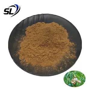 Tamarind Powder Tamarind Seed Extract Powder Natural Tamarind Extract Powder