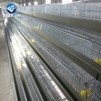 Système d'alimentation professionnel pour cages à cailles (fabricant)