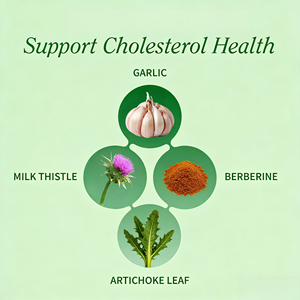 Suplemento de Apoyo al Colesterol de Marca Privada, Complejo de Berberina con Extracto de Cardo Mariano, Ajo y Alcachofa, 60 Cápsulas - Product Image 3
