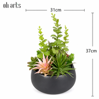 OH ARTS Plantes succulentes artificielles au toucher réel en pot, fausse verdure UV, mini bonsaï sans entretien pour la décoration de la maison et du jardin