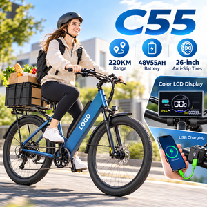 Bicicleta Eléctrica C55 Express Rider, 48V55Ah, 220KM de Autonomía, OEM ODM, Personalizable, Neumáticos Anchos, Bicicleta Eléctrica de Carga - Product Image 1