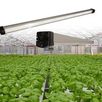 Hangende Groente Led Kweeklamp Voor Vruchtsla Dragon Fruit Patiya Tomaten Komkommers Plant Led Licht 4ft 120W