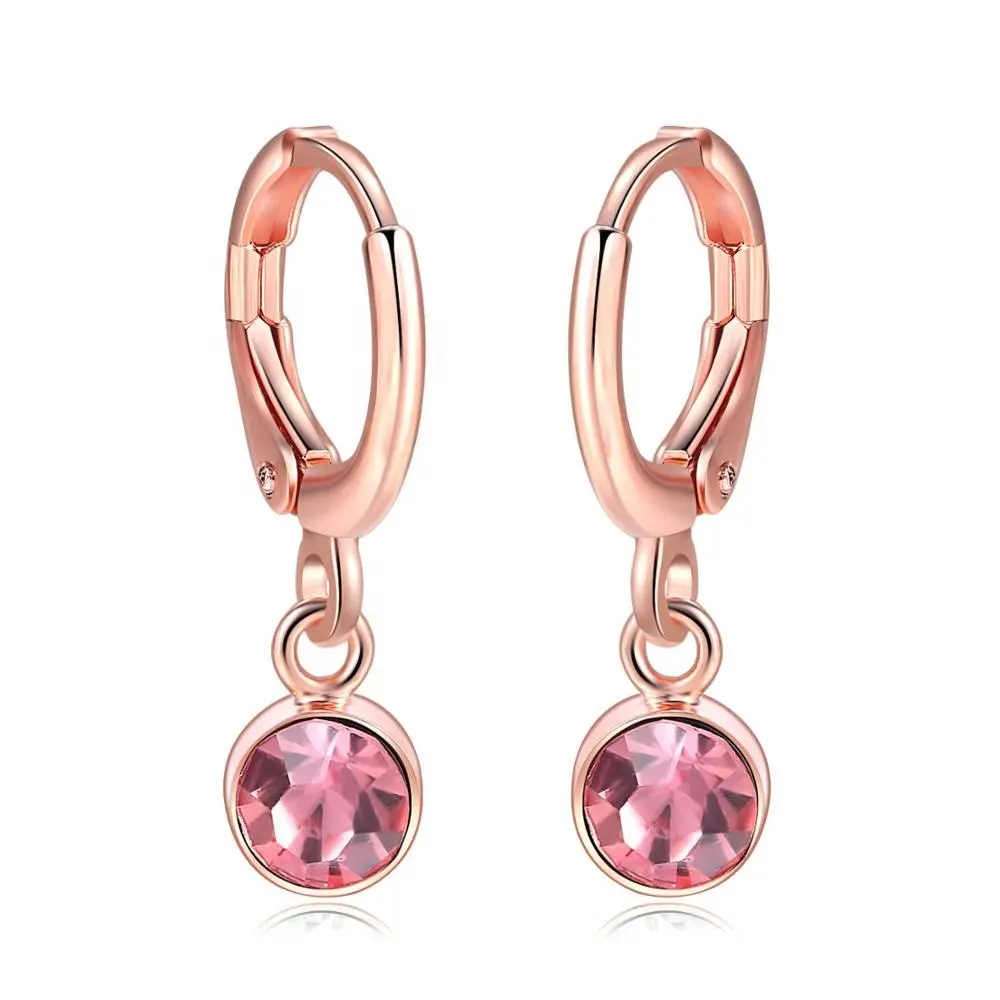Fashion Trendy Ladies Accessories Jewelry 6mm AAA+ Round Pink Zircon Pendant Hoop Earring