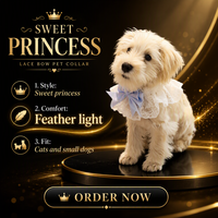 Collier pour animaux de compagnie avec nœud en dentelle et perles, serviette anti-salive pour chien et chat, style princesse, foulard pour toutes les saisons