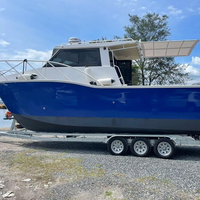 8.8m 29ft En Aluminium soudé catamaran bateau mer cruiser aluminium cabine de bateau de pêche à vendre