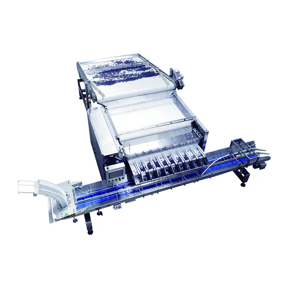 Fresh berry packing equipment for cleaning, sizing, filling and packaging, and case packing fresh blueberries, cranberries, aron