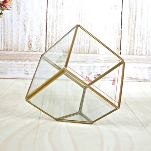 2025 vente <span class=keywords><strong>en</strong></span> gros noir grands Vases <span class=keywords><strong>en</strong></span> cristal clair géométrique <span class=keywords><strong>verre</strong></span> <span class=keywords><strong>Terrarium</strong></span> cuivre plante <span class=keywords><strong>verre</strong></span> <span class=keywords><strong>Terrarium</strong></span> - Product Image 6