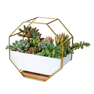Macetero de Pared Moderno con Diseño <span class=keywords><strong>Octagonal</strong></span> de Alambre Metálico, Estantes de Pared con <span class=keywords><strong>Maceta</strong></span> de Cerámica para Plantas de Aire - Product Image 1