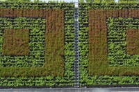 Système de culture hydroponique vertical carré auto-arrosant pour l'extérieur, mur de jardinage, pot de fleurs écologique