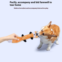 Meilleure vente unisexe interactif chien jouets résistant aux morsures longue peluche coquille ours conception soulagement du Stress animal en peluche animaux fournitures