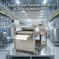 220v/2.6KW Suikerriet Spray Reinigingsmachine Automatische Suikerriet Schil Reinigingsmachine Suikerriet Fruit Wassen Schilmachine