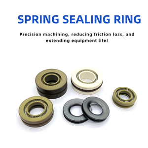 Guarnizione Idraulica per Stelo del Pistone con Molla, Alta Tenuta Meccanica in Plastica - Product Image 2