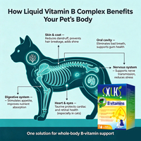 Vitamines B liquides pour animaux de compagnie OEM/ODM - Stimulant immunitaire - Complément nutritionnel - Pour animaux de compagnie