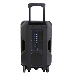 CQA Dj ลำโพง15นิ้วกล่องลำโพง<span class=keywords><strong>ฮ</strong></span>อร์น - Product Image 4
