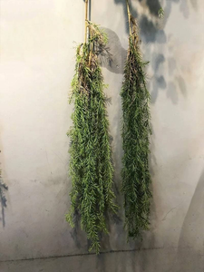 <span class=keywords><strong>Plantas</strong></span> Colgantes <span class=keywords><strong>Artificiales</strong></span> de 110 cm, Planta Verde Artificial, Enredadera Artificial para Pared, Hogar, Decoración de Techo con Follaje Verde Artificial - Product Image 4