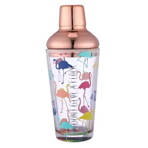 15oz Rvs Top Martini Plastic Cocktail Shaker