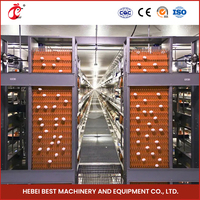 Chine 2024 Type populaire Cages de couche en acier inoxydable Oeuf Poulet Volaille Ferme 500 Oiseaux