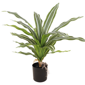 Artificial Brazilian Ironwood Mini Potted <b>Plant</b> 18 Leaves <b>Plastic</b> High Simulation Home Decor - Product Image 4