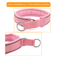 Collier de chien en nylon réfléchissant avec doublure en néoprène ajustable et rembourré pour la marche et l'entraînement.