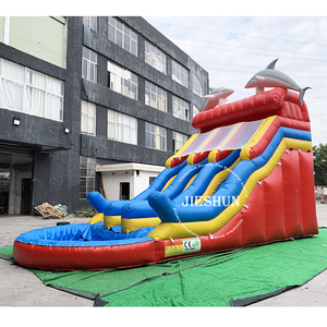 2020 Thiết Kế Mới PVC Ngoài Trời Mùa Hè Inflatable Dolphin TRƯỢT KÉP Trượt Và Trượt Nước Trượt Với Hồ Bơi Để Bán - Product Image 2