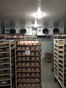 Almacenamiento en frío personalizado de tamaño grande y pequeño, gran congelamiento para sala de almacenamiento en frío de cerdo, caja de pollo para cámara fría para aves de corral - Product Image 2