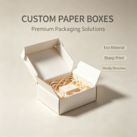 Boîte en carton personnalisée avec logo imprimé, emballage sur mesure, fond à clipser, boîte en carton avion avec finition de surface, vente en gros