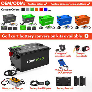 Ingebouwde Bms Lifepo4 48 Volt Nmc Golfkar Batterij 48 V 50ah 100ah 200ah Lithium Ijzer Fosfaat Batterij Golfkar - Product Image 6