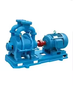 Pompe à vide à anneau liquide horizontale série SK, haute efficacité, norme internationale, en fonte - Product Image 1