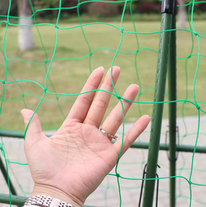 Malla <span class=keywords><strong>de</strong></span> soporte para plantas <span class=keywords><strong>de</strong></span> jardín con orificios <span class=keywords><strong>de</strong></span> 10x10cm, 2x 5M, para plantas trepadoras como luffa y frutas <span class=keywords><strong>de</strong></span> <span class=keywords><strong>la</strong></span> pasión - Product Image 1