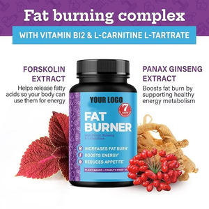 OEM capsule bruciagrassi Private Label con Panax Ginseng e <span class=keywords><strong>L</strong></span>-carnitina aumenta il consumo di grasso aumenta <span class=keywords><strong>l</strong></span>'energia riduce <span class=keywords><strong>l</strong></span>'<span class=keywords><strong>appetito</strong></span> - Product Image 3