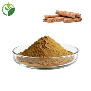 工場供給 大量 プライベートラベル ゴボウ根エキス ゴボウ根粉末 乾燥ゴボウ根 - Product Image 1