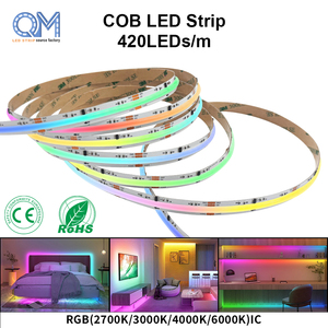 Tira de LED COB Digital RGB WS2811 de RAYMATES, 720 LED Direccionables, 12v 24v, Color Mágico para Decoración e Iluminación - Product Image 1
