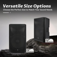 Accuracy Pro Audio CBN15ADD Altavoz Activo de Plástico de 15 Pulgadas con Amplificador de Audio Profesional para Sistema de Sonido