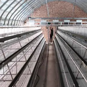 5000 couches de conception de ferme avicole utilisent un système de cage de poulet semi-automatique galvanisé poulet multifonctionnel fourni 2.5-4.0mm