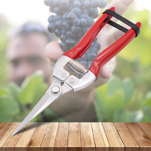 กรรไกรตัดกิ่งไม้สแตนเลส,กรรไกรตัดกิ่งไม้เครื่องมือทำสวน6.69 "X1.96" - Product Image 1
