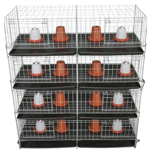 Sistema Automático de Jaulas Galvanizadas para Codornices, para una Cría de Aves de Corral Eficiente y una Alta Producción de Huevos - Product Image 5