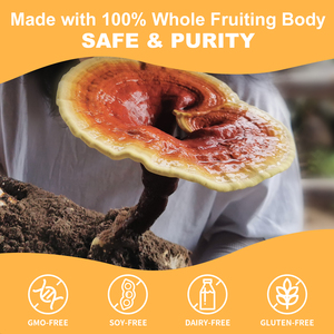 GANOHERB Suplemento özel etiket <span class=keywords><strong>Ganoderma</strong></span> Lucidum kapsül <span class=keywords><strong>Reishi</strong></span> 3 in 1 kapsül OEM kapsül - Product Image 5