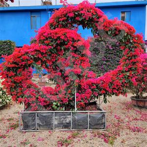 HOKBG Vente en gros extérieur ferme 45 50 60 200 gallons grand sac de jardinière noir tissé en PP sac de culture de jardin pour <span class=keywords><strong>espalier</strong></span>-bougainvilliers - Product Image 1