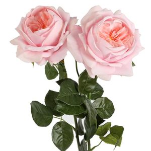 Nouvelles roses artificielles haut de gamme style Ins moderne, toucher réel, roses Austin effet mouillé pour mariages et décorations intérieures - Product Image 1