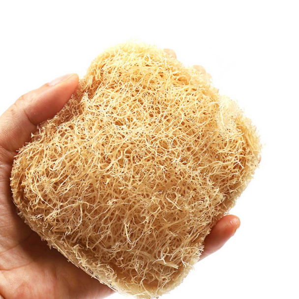 Экологичная губка для мытья посуды, кухонная Чистящая натуральная губка для чистки растений, биоразлагаемая губка для мытья посуды