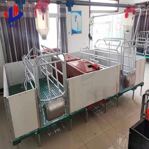 Nuovo tipo gabbia animale per l'allevamento suino e piantina prodotto di alta qualità - Product Image 6