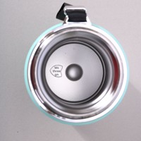 Bouilloire solaire intelligente en acier inoxydable 316L, isolée sous vide, isolation thermique 12-24 heures, infuseur à thé, tasse cadeau, transport, camping